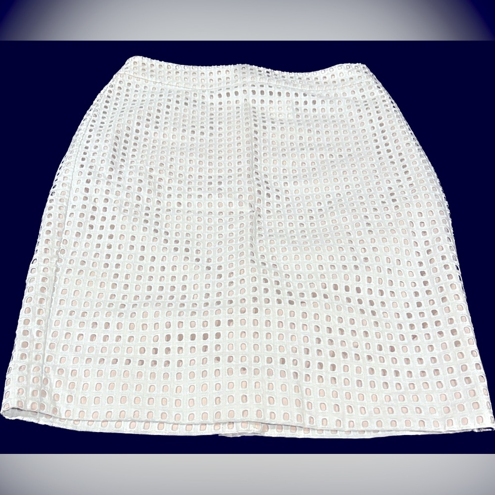 Ann Taylor Skirt